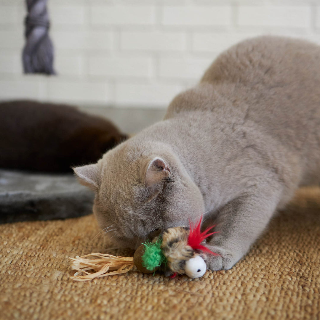 Kitty Christmas Catnip Owl