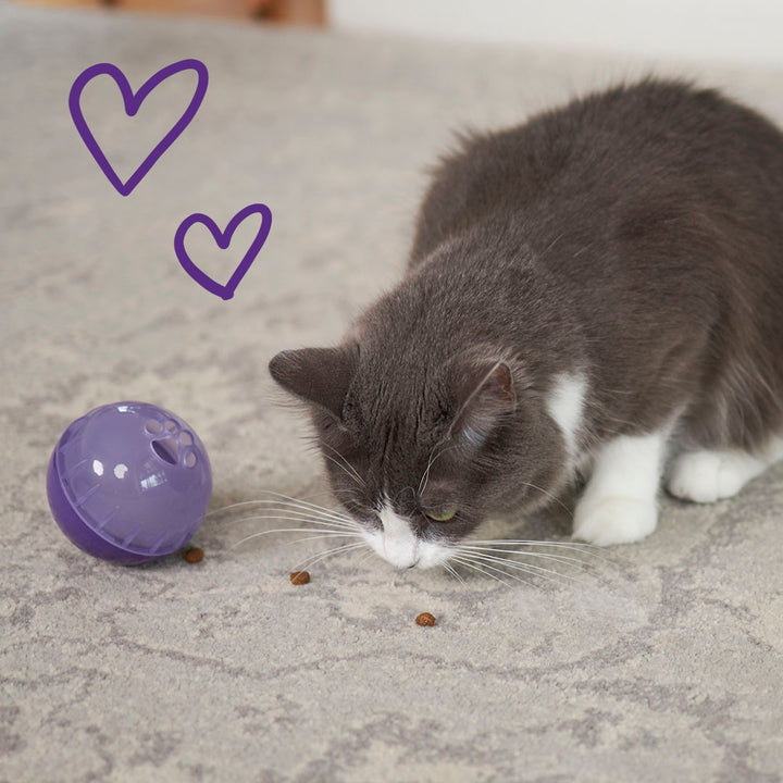 Cat Treat Enrichment Ball