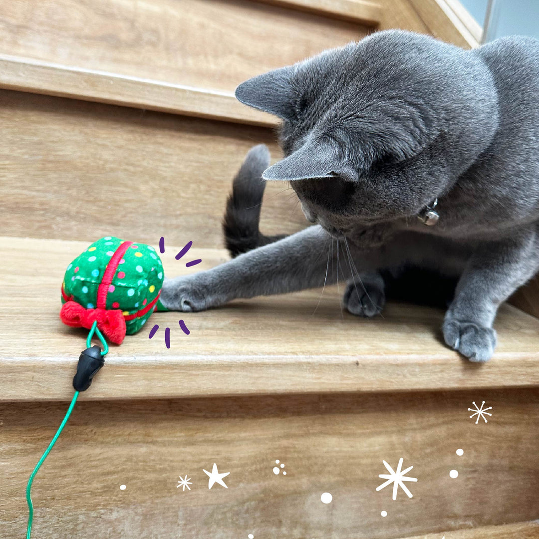 Kitty Swap n’ Play Christmas Wand