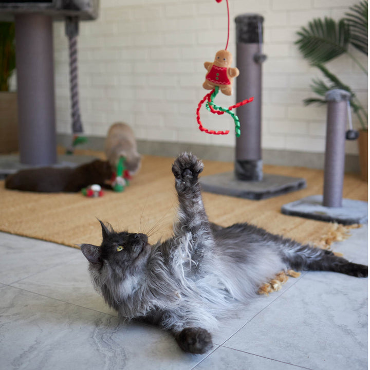 Kitty Christmas Gingerbread Wand