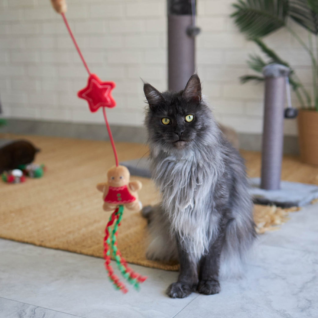 Kitty Christmas Gingerbread Wand