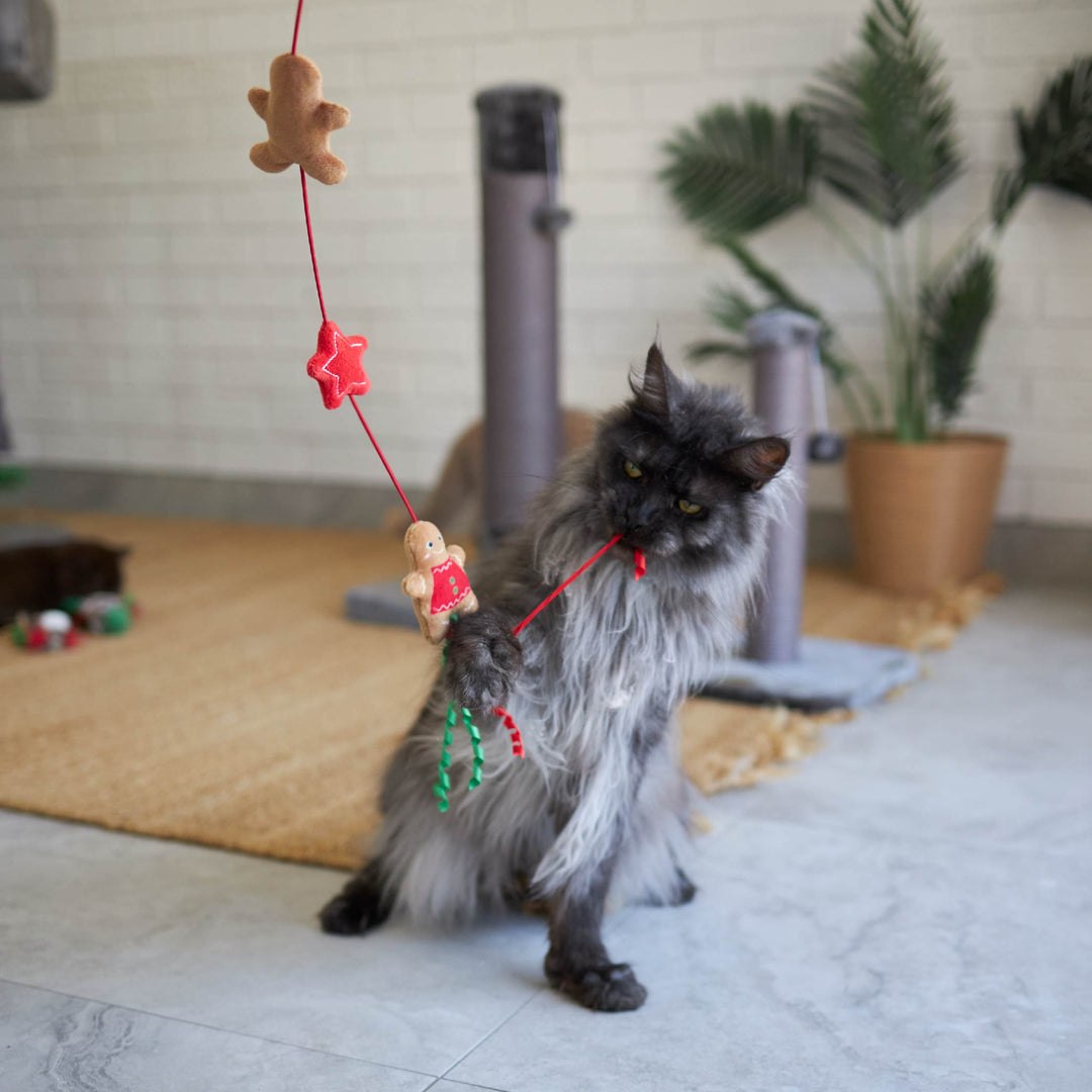 Kitty Christmas Gingerbread Wand