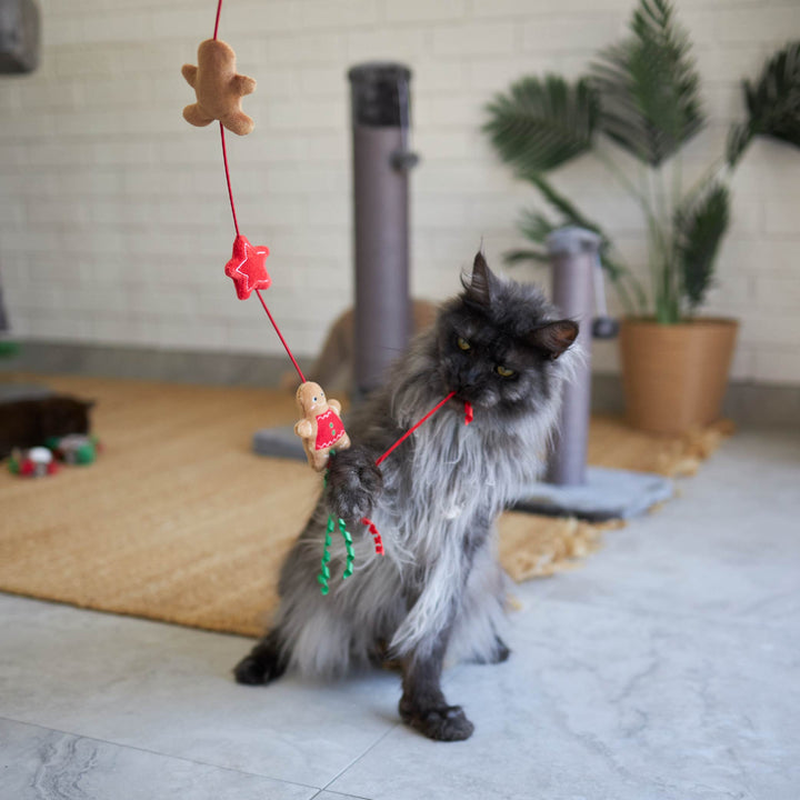 Kitty Christmas Gingerbread Wand