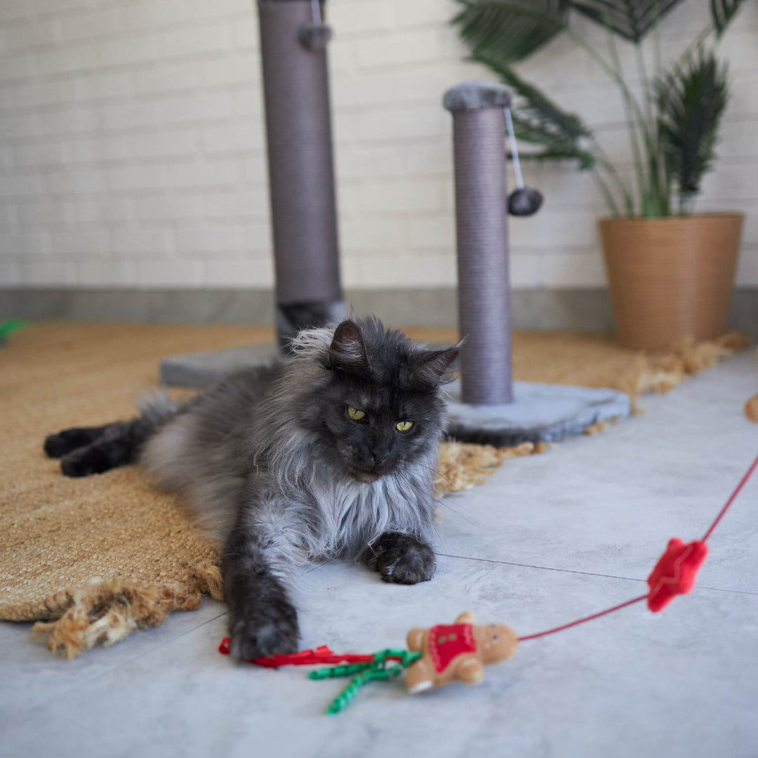 Kitty Christmas Gingerbread Wand