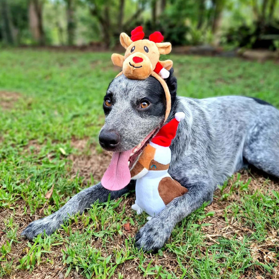 Rudolph Reindeer Headband