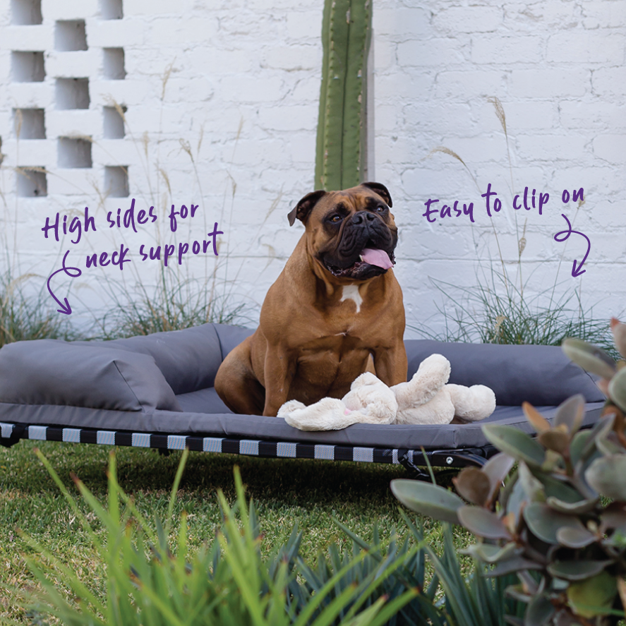 Outdoor Lounge Dog Bed Topper - Slate – Kazoo Pet Co