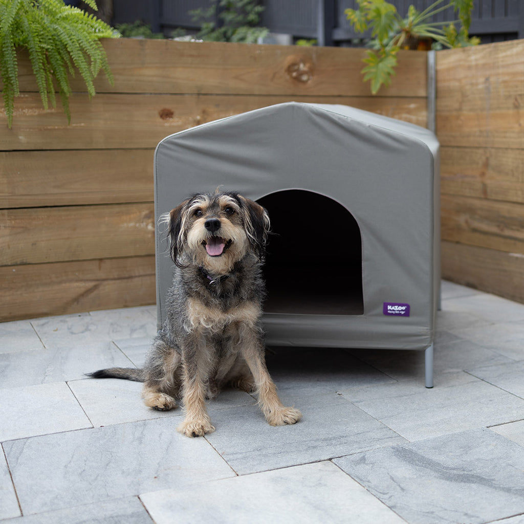 Outdoor dog outlet cabana