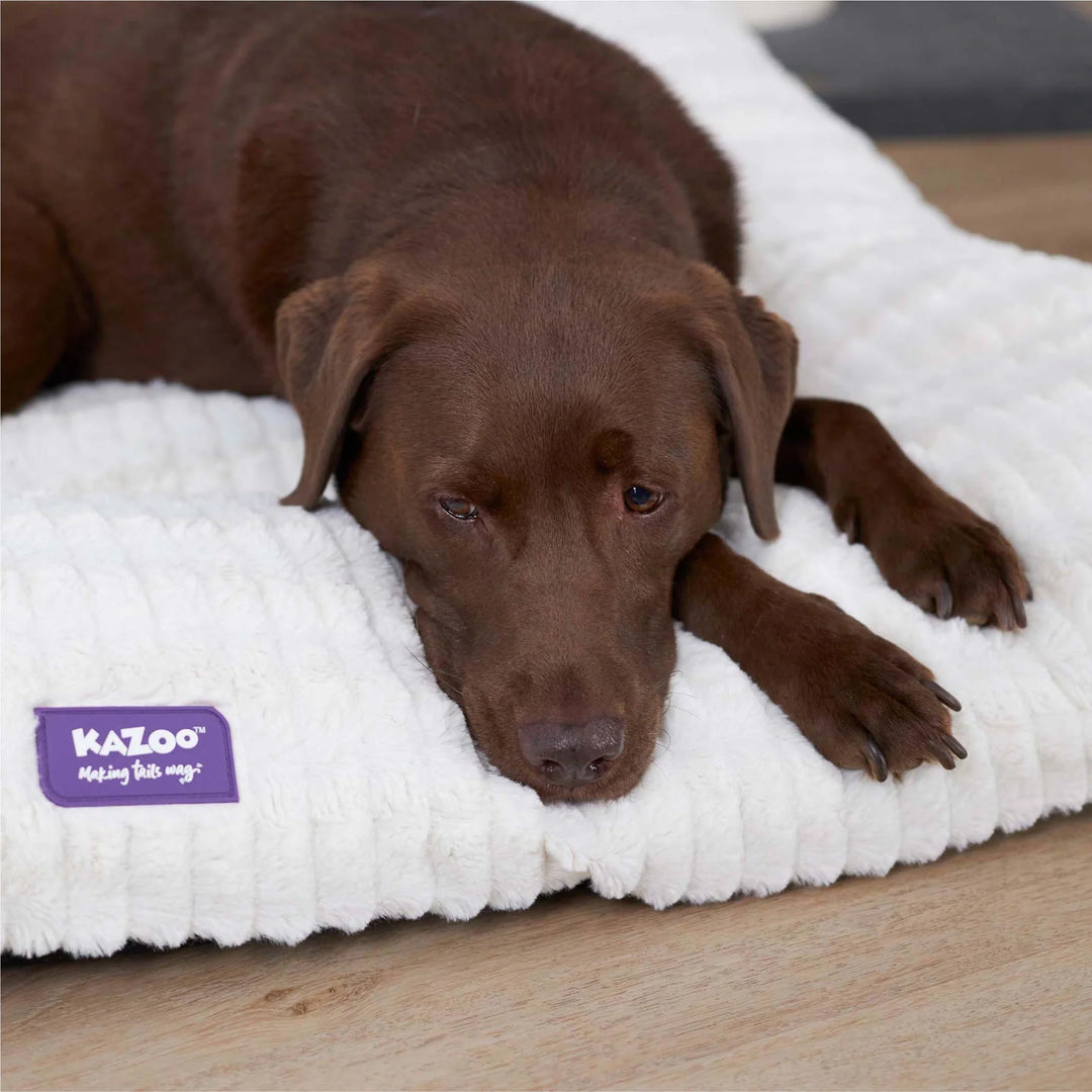 Storm Dog Pillow - Cream