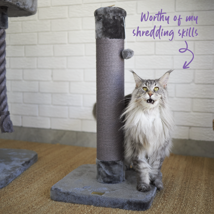 Cat Scratch Post - Small