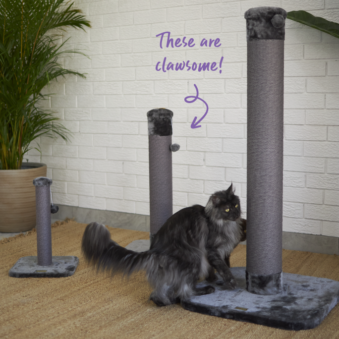 Cat Scratch Post - Small