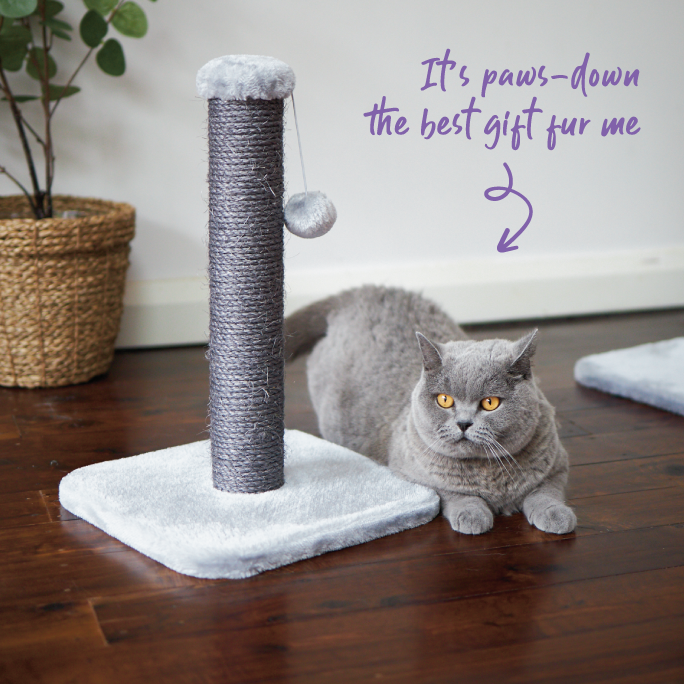 Cat Scratch Post - Ash Plush - Small