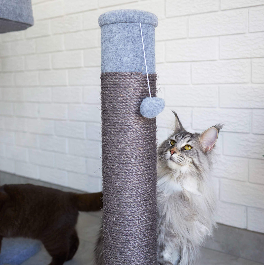 Cat Scratch Post - Medium