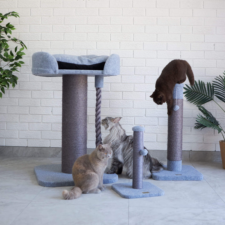 Cat Scratch Post - Medium