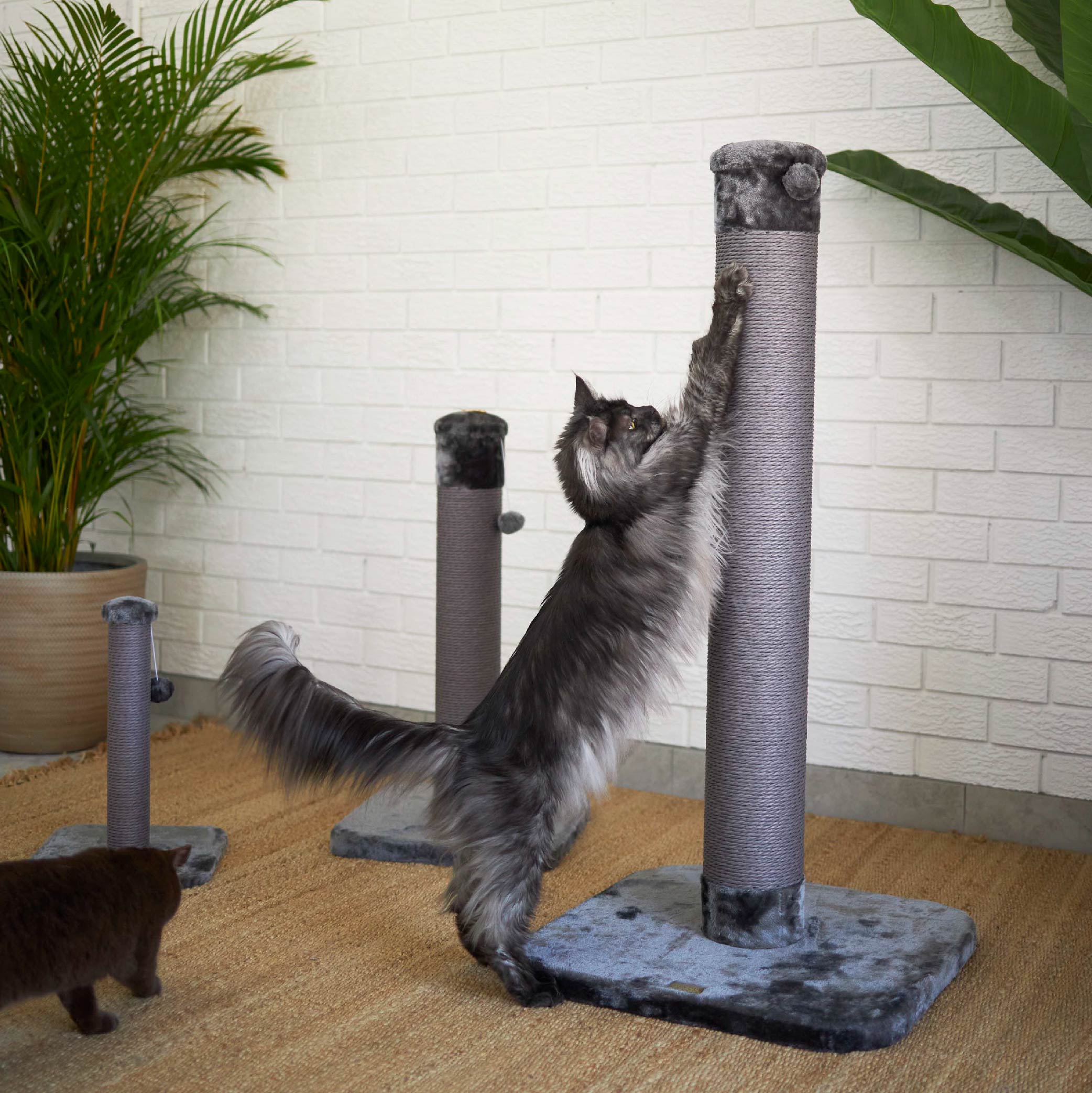 Eco friendly clearance cat scratching post