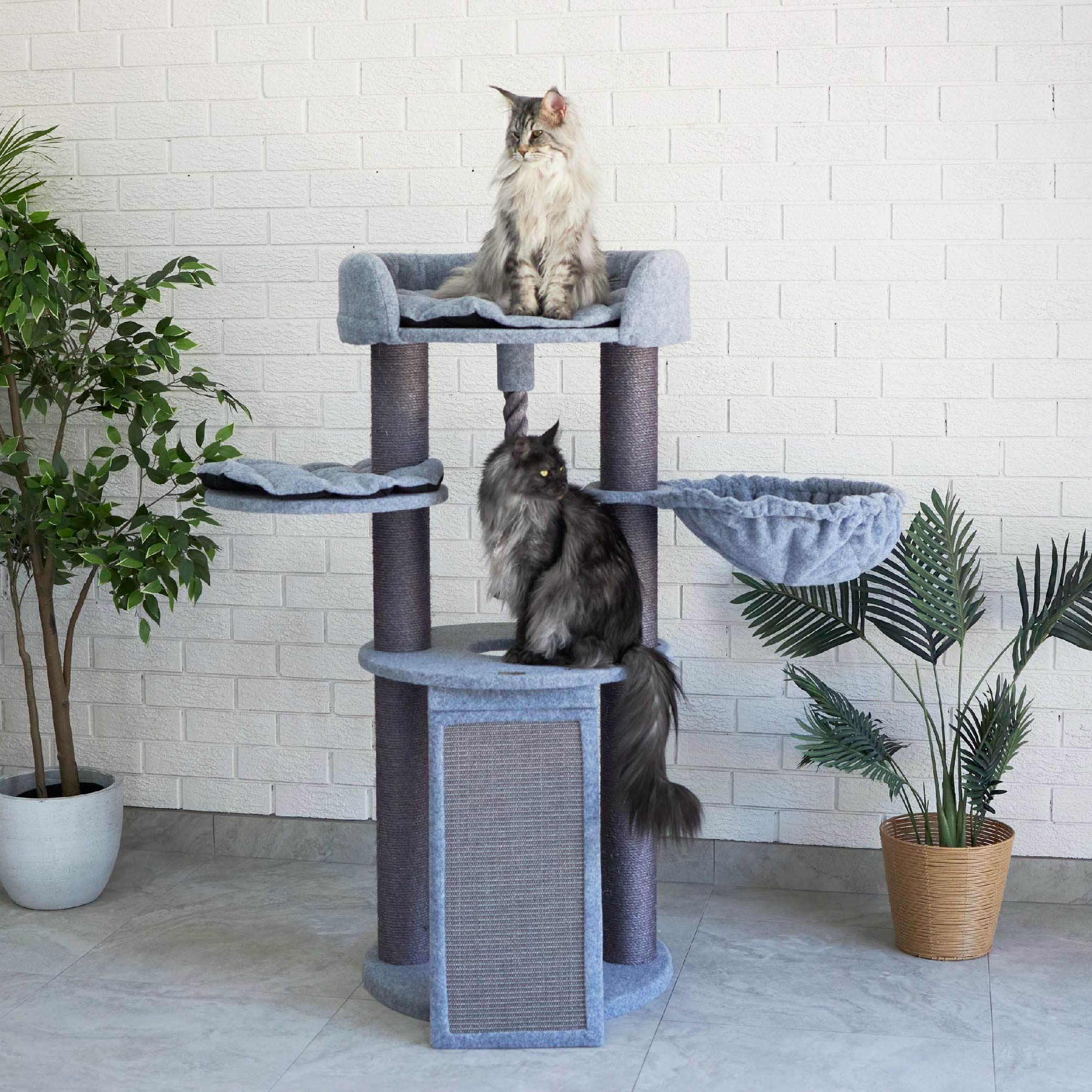 Cat posts best sale for large cats