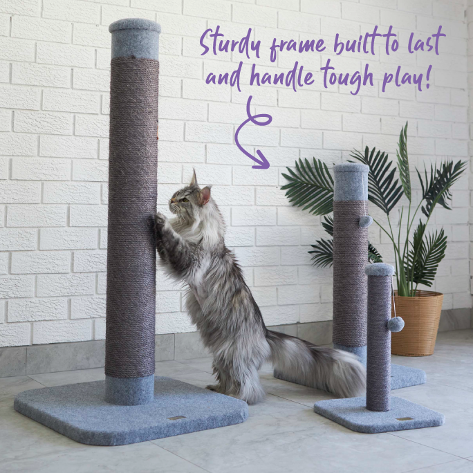 Cat Scratch Post - Ash Carpet - Small