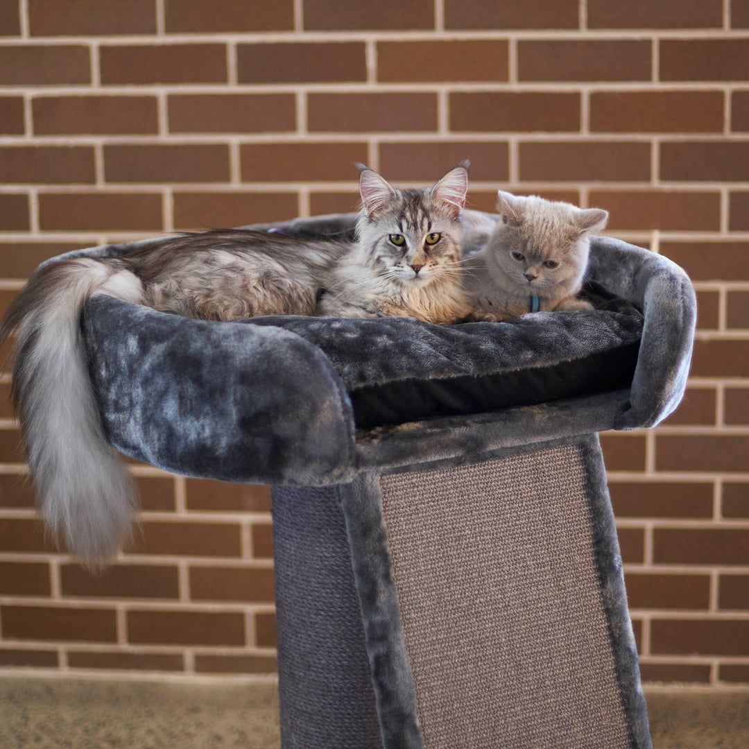 High Bed Cat Scratch Post with Ramp - Charcoal