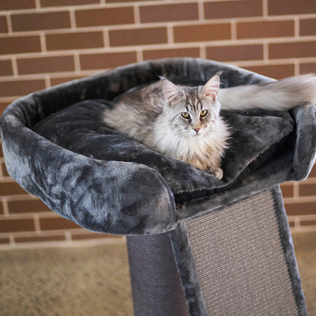 High Bed Cat Scratch Post with Ramp - Charcoal