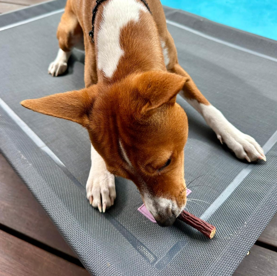 Kangaroo Sausage Bites