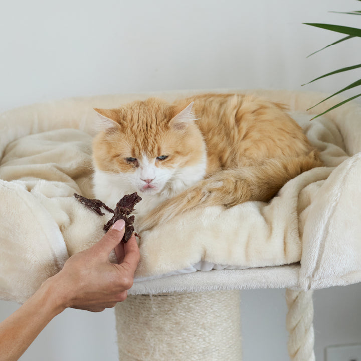 Aussie Kangaroo Steak Cat Treats