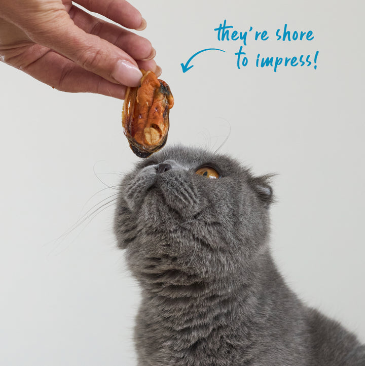 NZ Mussel Cat Treats