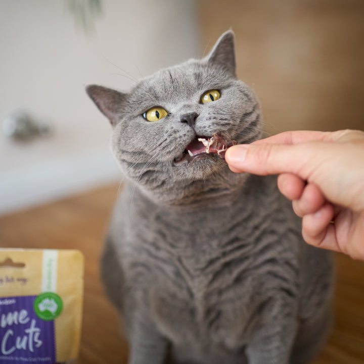 Aussie Kangaroo Heart Cat Treats