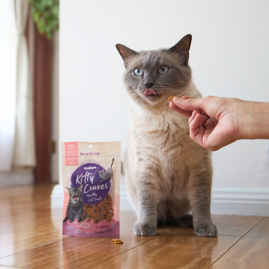 Kitty Craves Biscuits - Salmon Bites