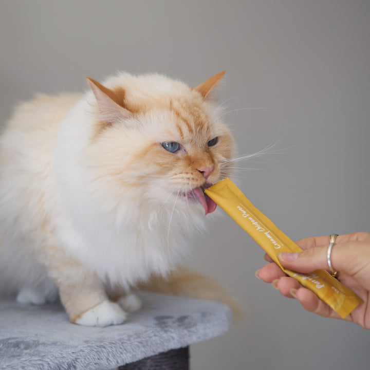 Purrfect Puree Cat Treat - Chicken