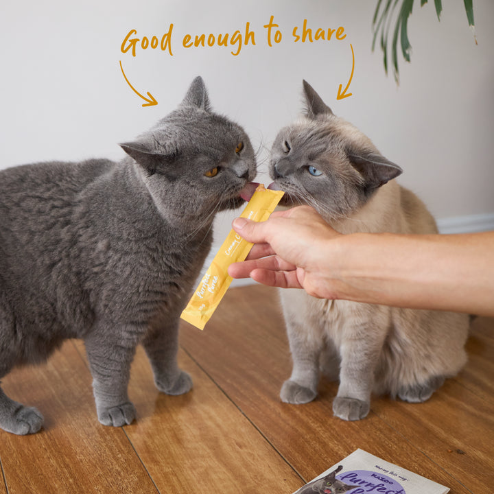 Purrfect Puree Cat Treat - Chicken