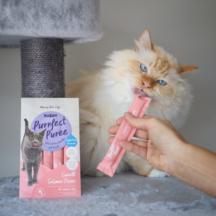 Purrfect Puree Cat Treat - Salmon