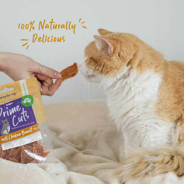 Aussie Chicken Breast Cat Treats