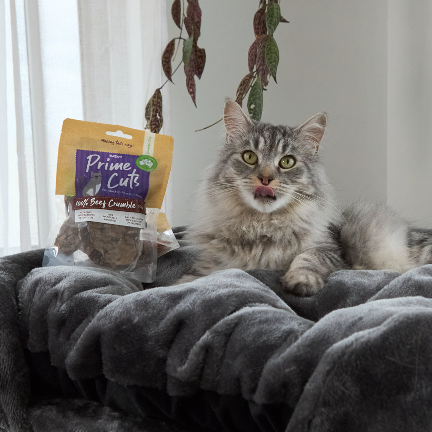 Aussie Beef Lung Cat Treats