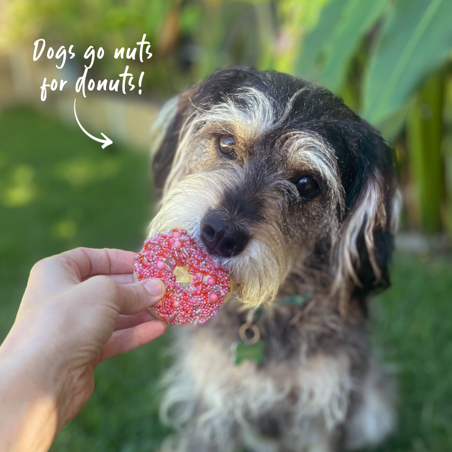 Dog Donut Biscuit - Pink