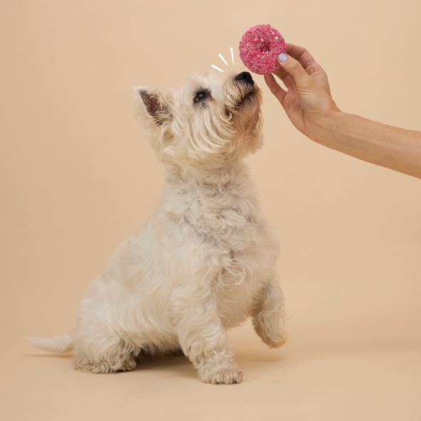 Dog Donut Biscuit - Pink