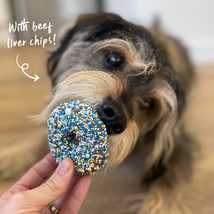 Dog Donut Biscuit - Blue