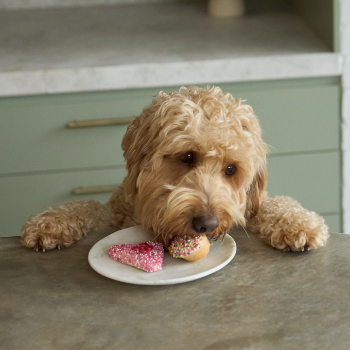 Dog Heart Cookie - Yoghurt