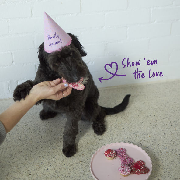 Dog Heart Cookie - Yoghurt