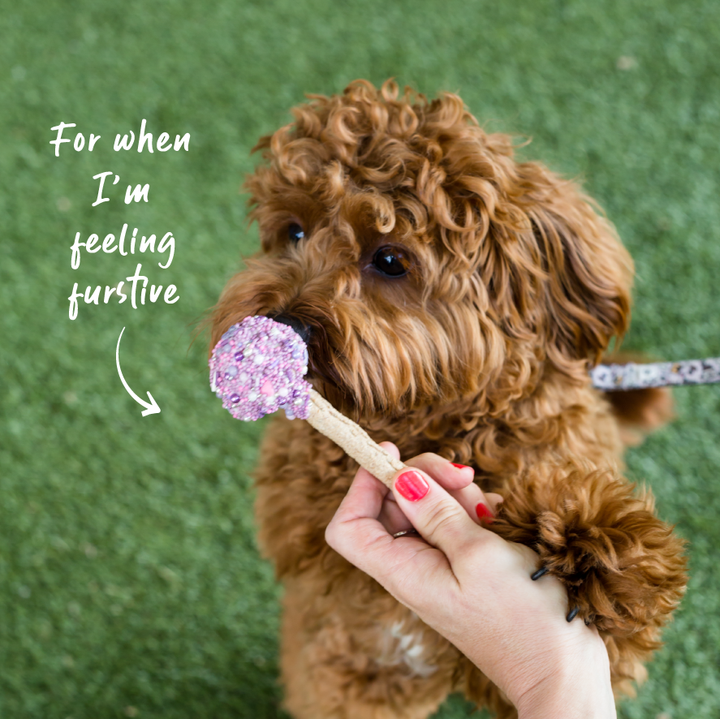 Dog Cake Pop - Pink/Purple