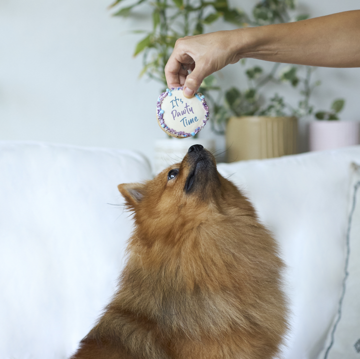 Dog Birthday Cake - Round - Blue