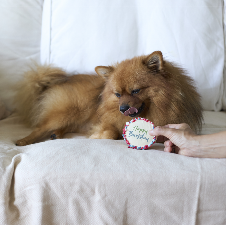 Dog Birthday Cake - Round - Red