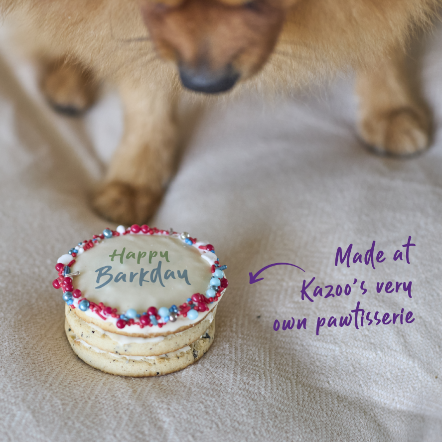 Dog Birthday Cake - Round - Red