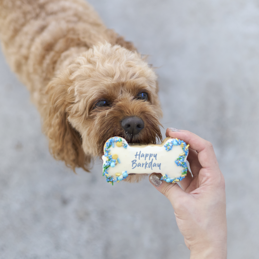 Dog Birthday Bone Cake - Blue