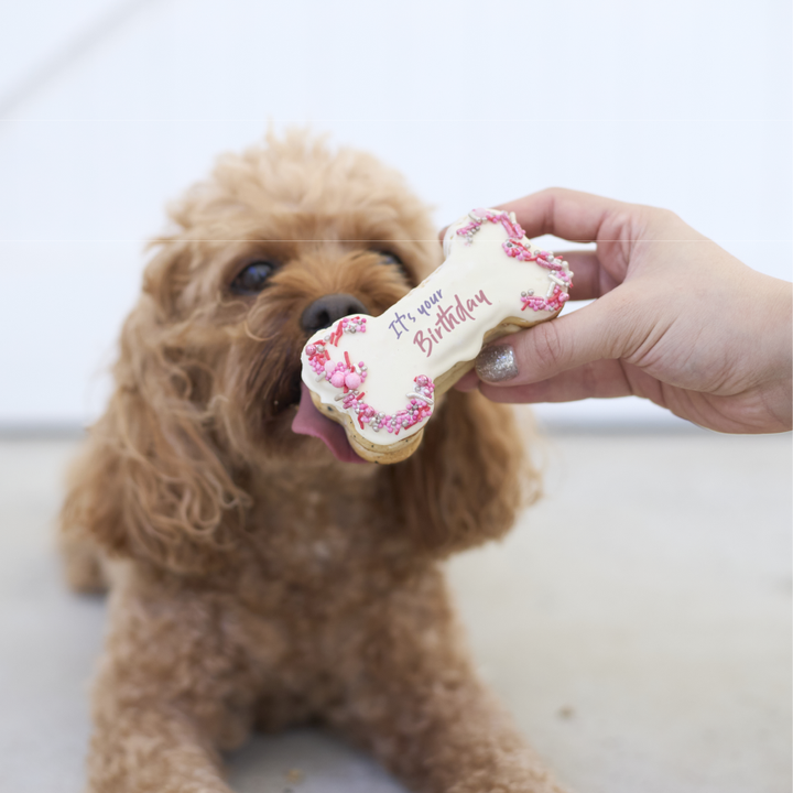 Dog Birthday Bone Cake - Pink