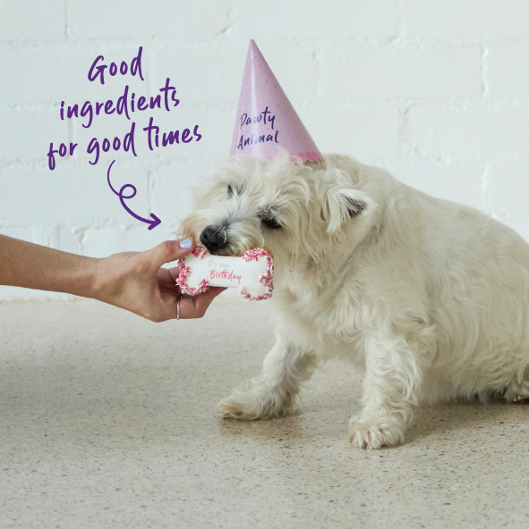 Dog Birthday Treats Party Pack - Pink