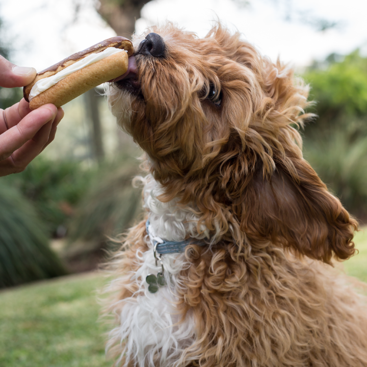 Dog Carob Eclair