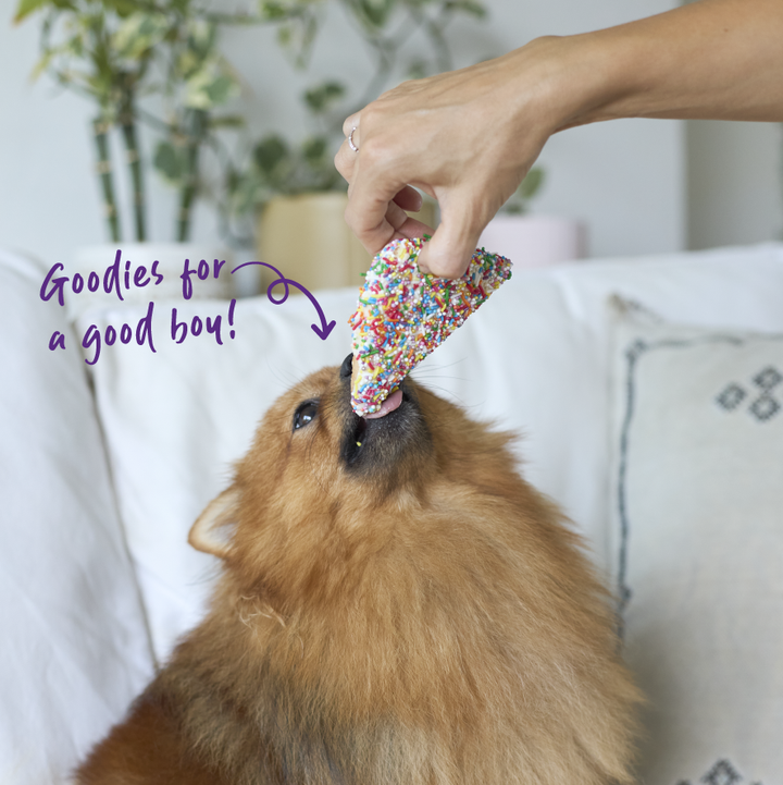 Dog Fairy Bread