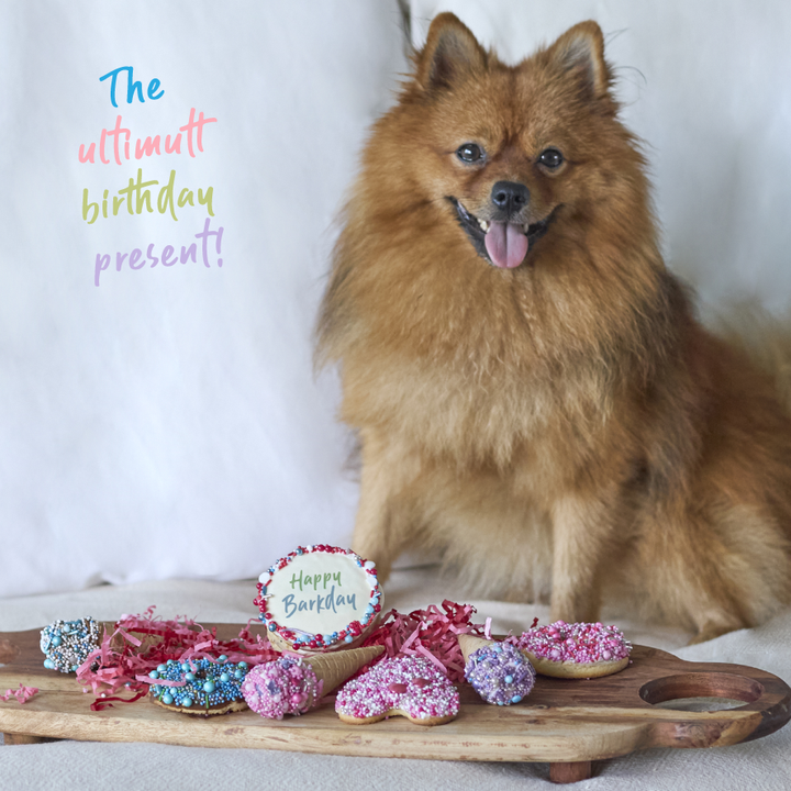 Dog Birthday Treats Party Pack - Pink