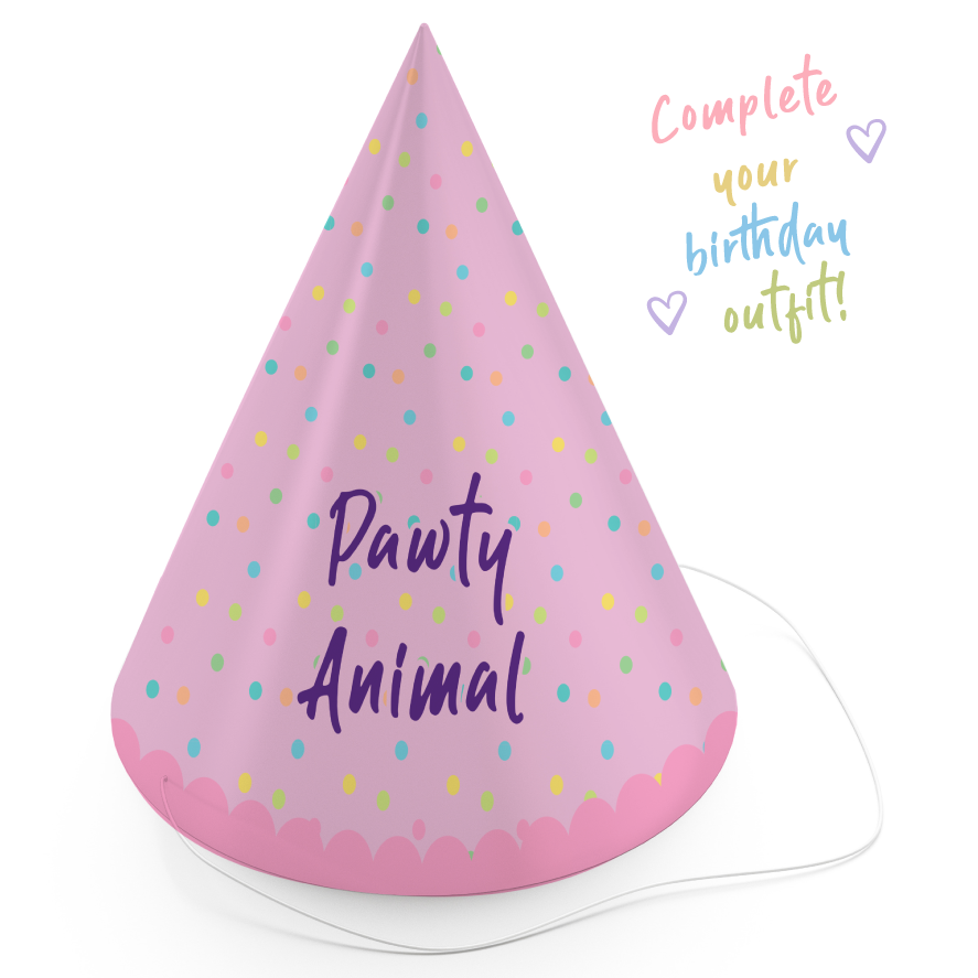 Dog Birthday Treats Party Pack - Pink