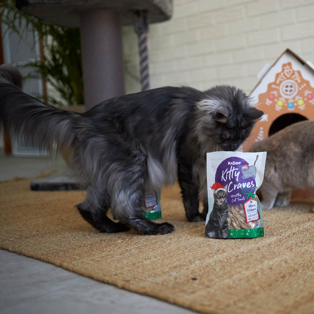 Christmas Kitty Craves Anchovies - 100gm