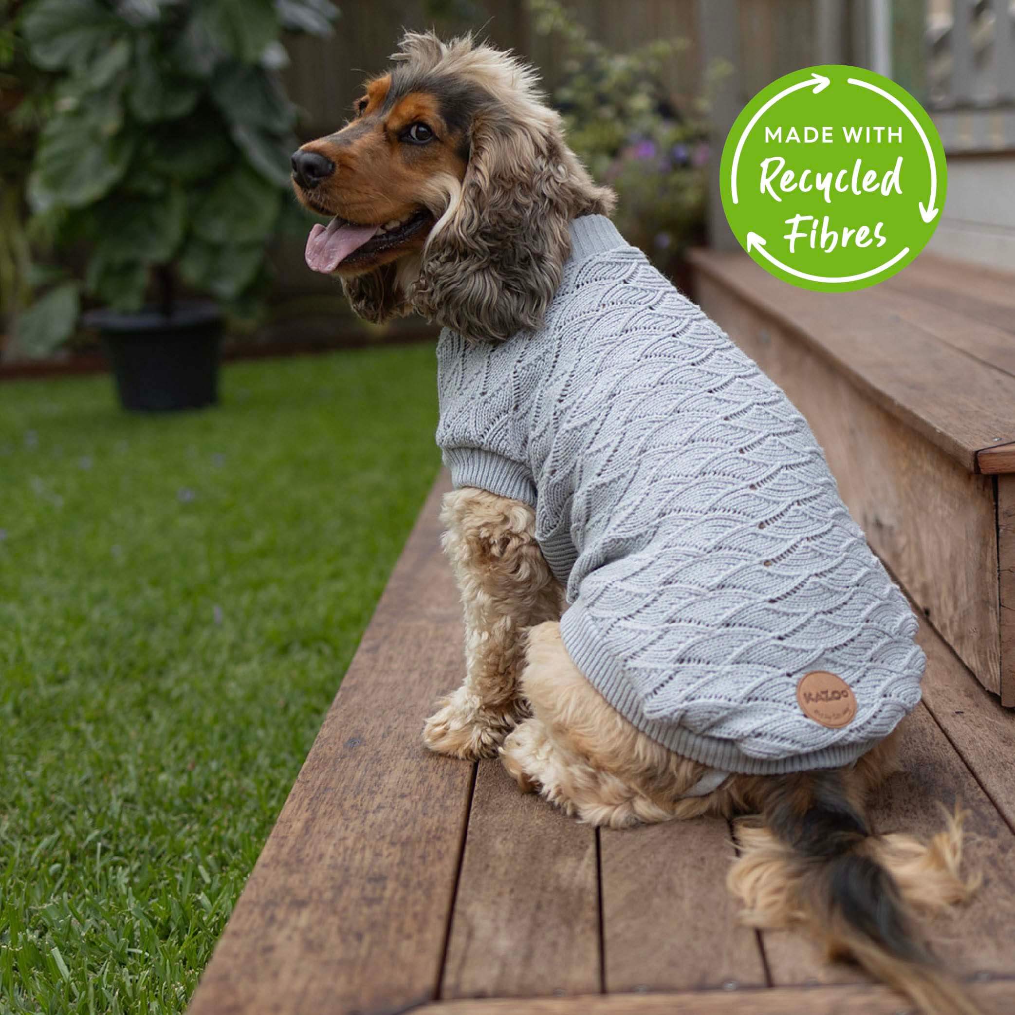 Puppy dog jumpers best sale